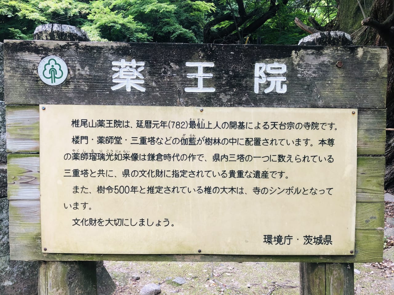 椎尾山薬王院