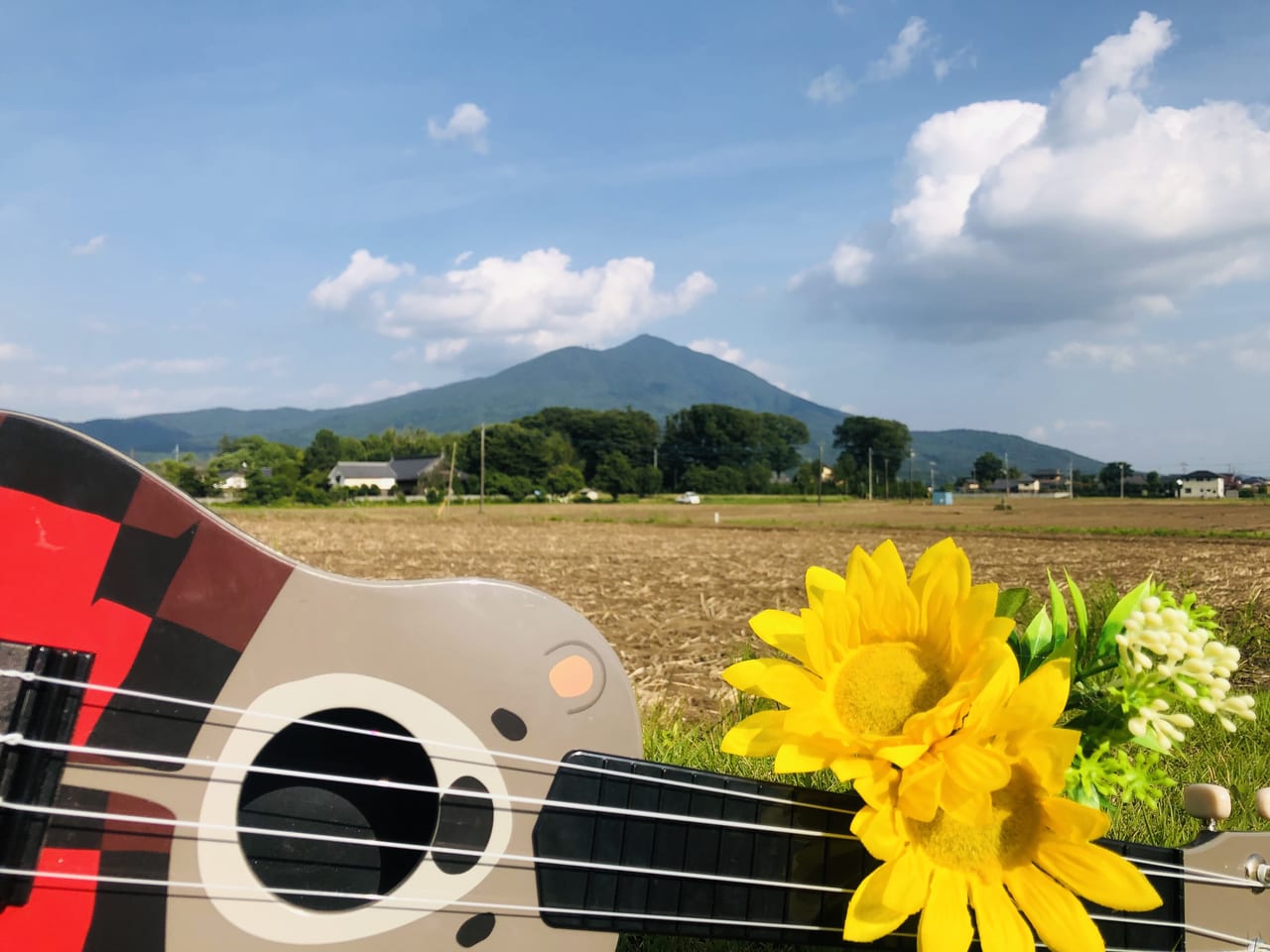 茨城県筑西市宮山地区