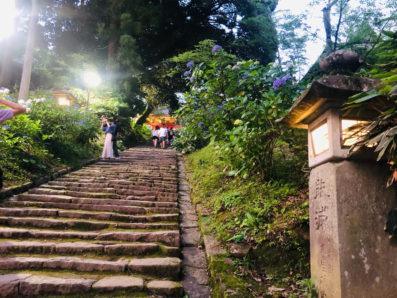 雨引観音あじさい祭