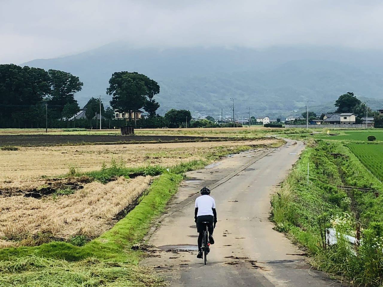 My自転車でスポーツチャリ散歩