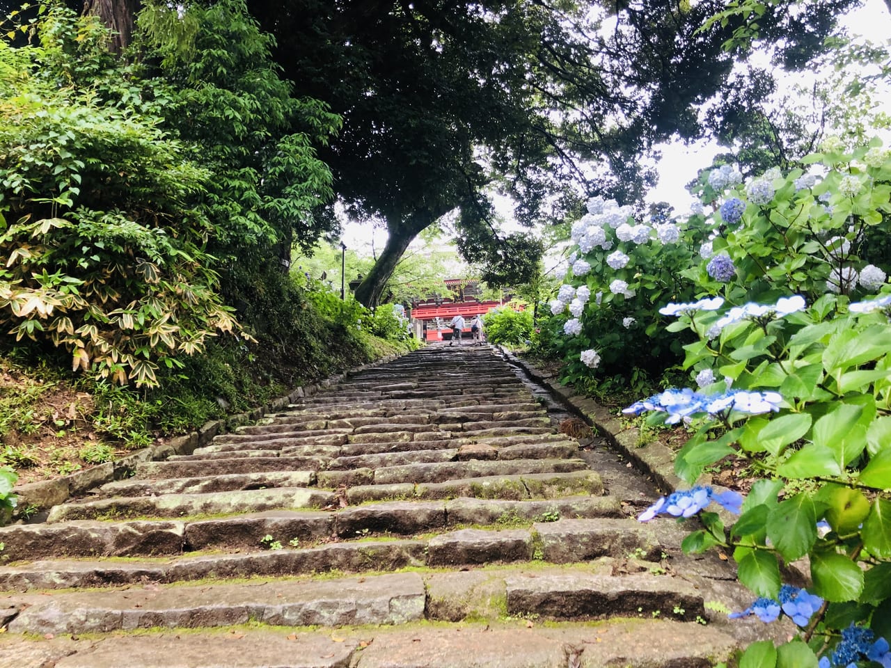 雨引観音