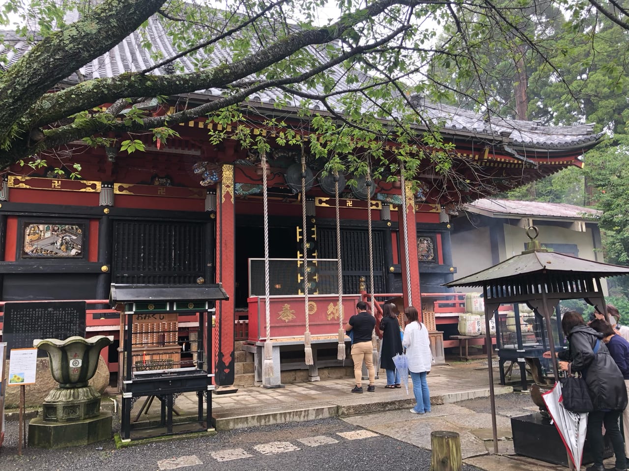 雨引観音あじさい祭