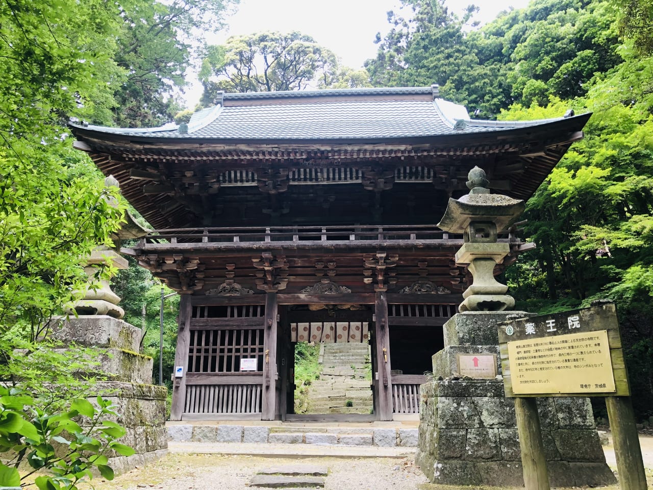 椎尾山薬王院