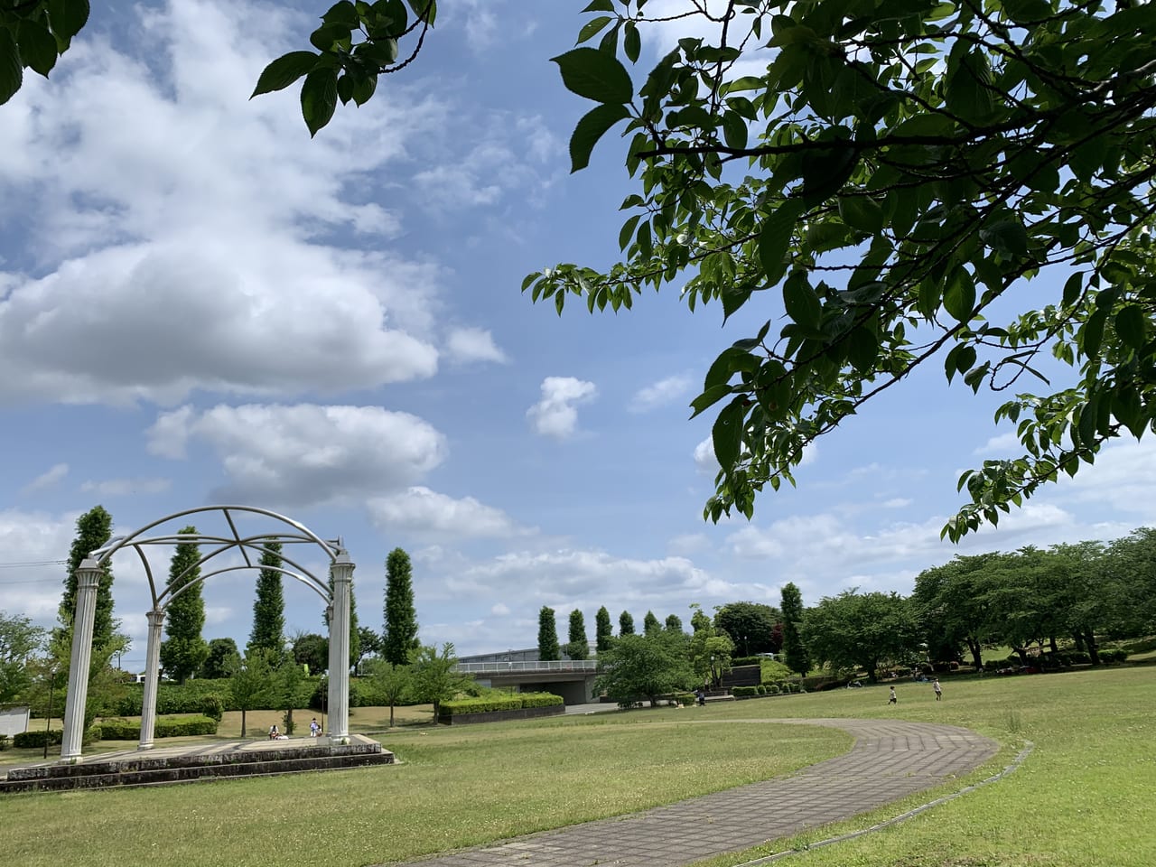 絹の台桜公園①