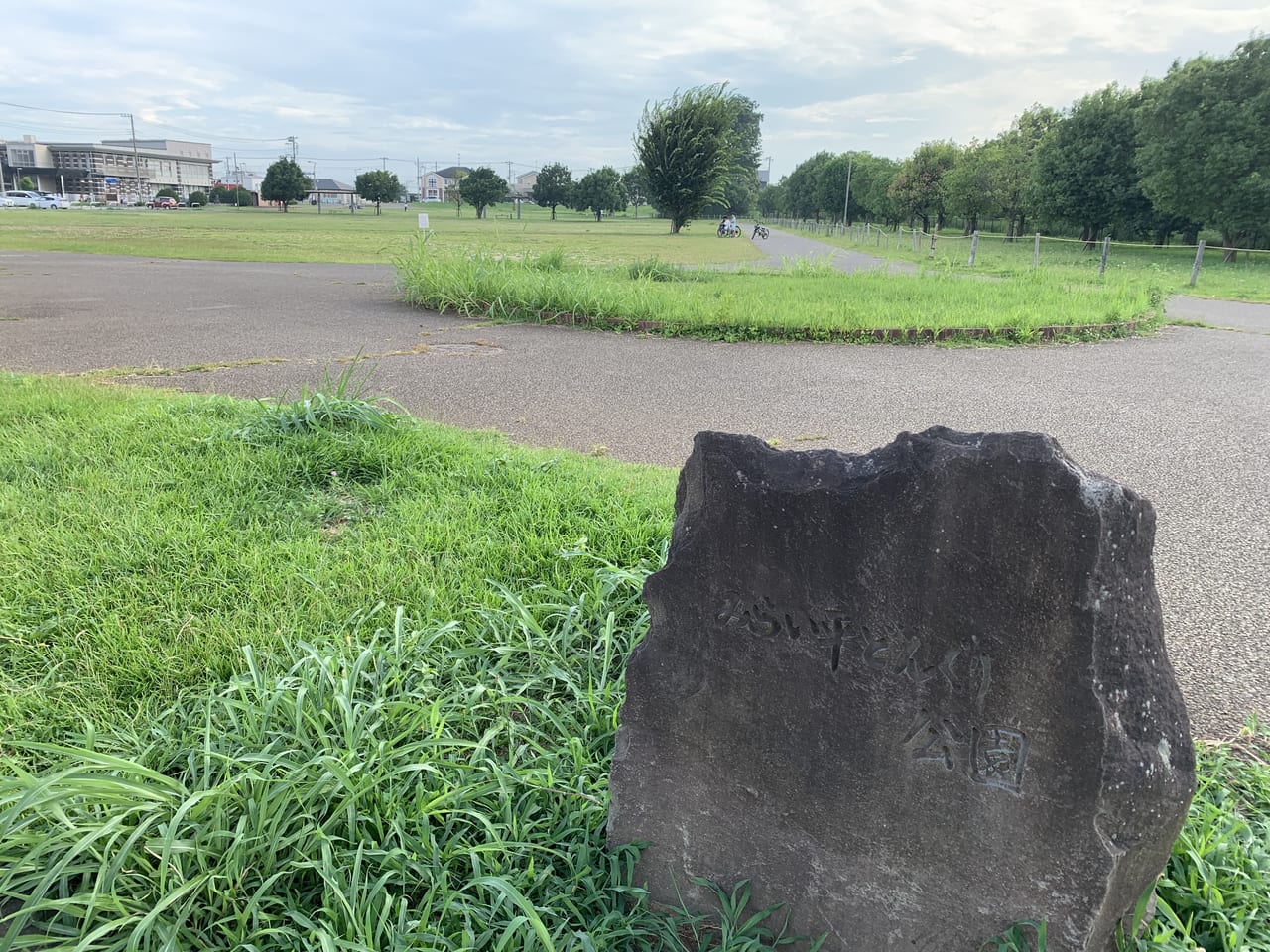 どんぐり公園