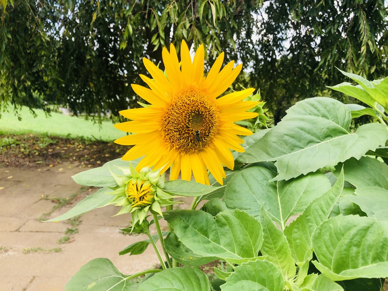 宮山ふるさとふれあい公園