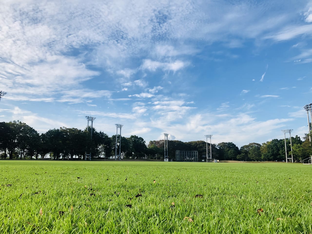 県西総合公園