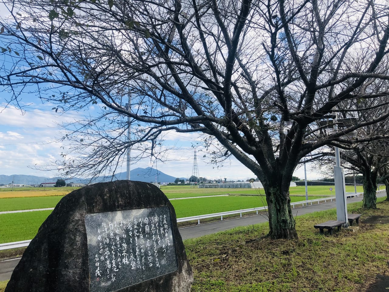 勤行川サイクリングコース