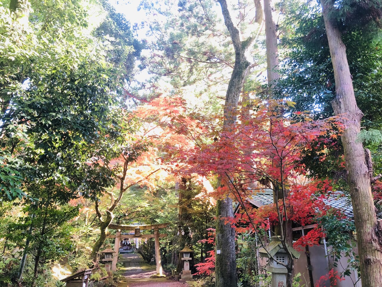 五所駒瀧神社