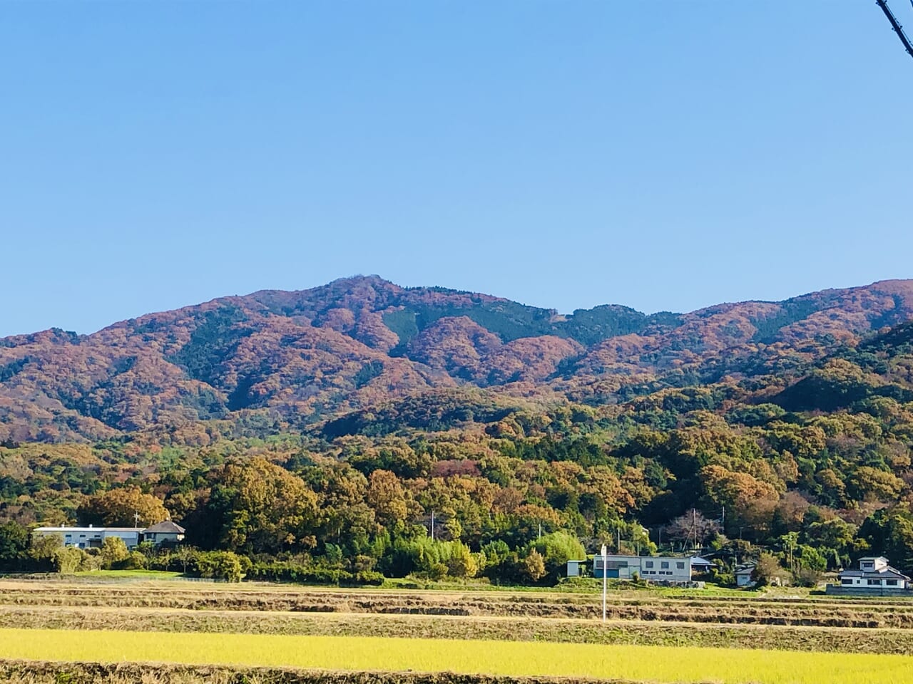 桜川市