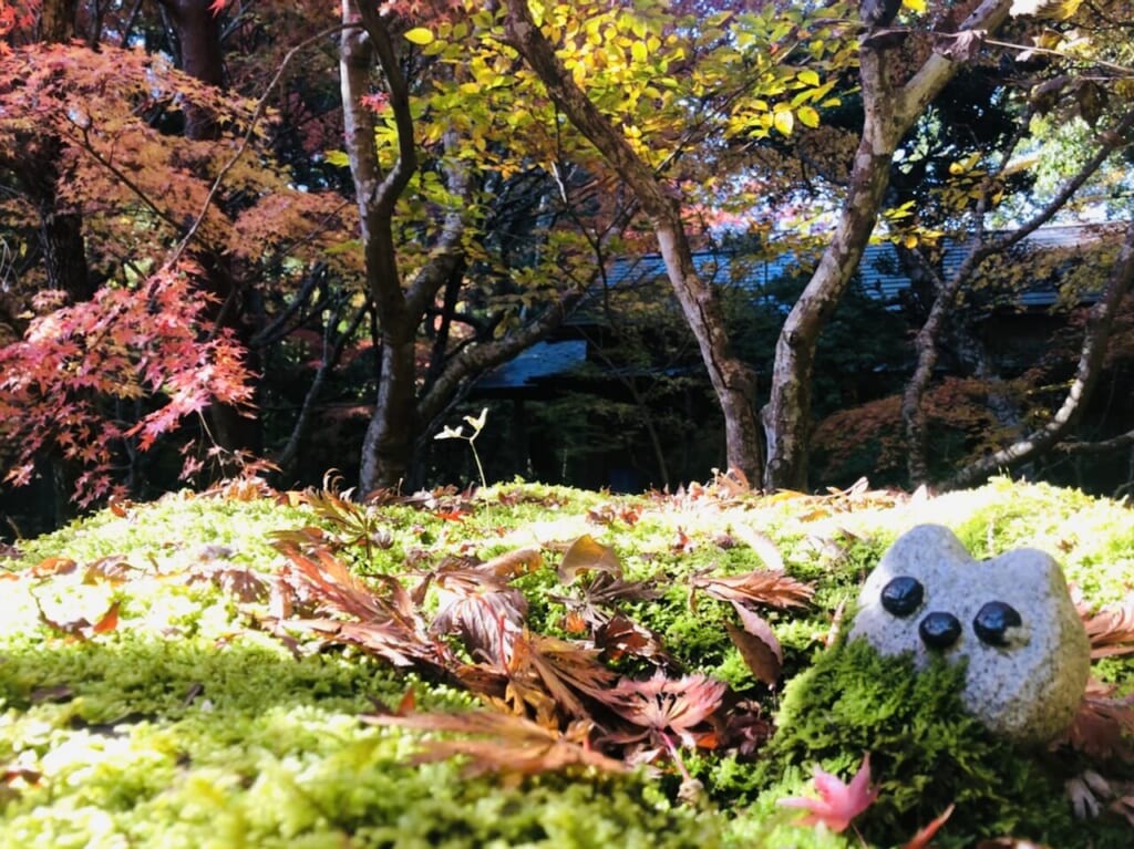 五所駒瀧神社