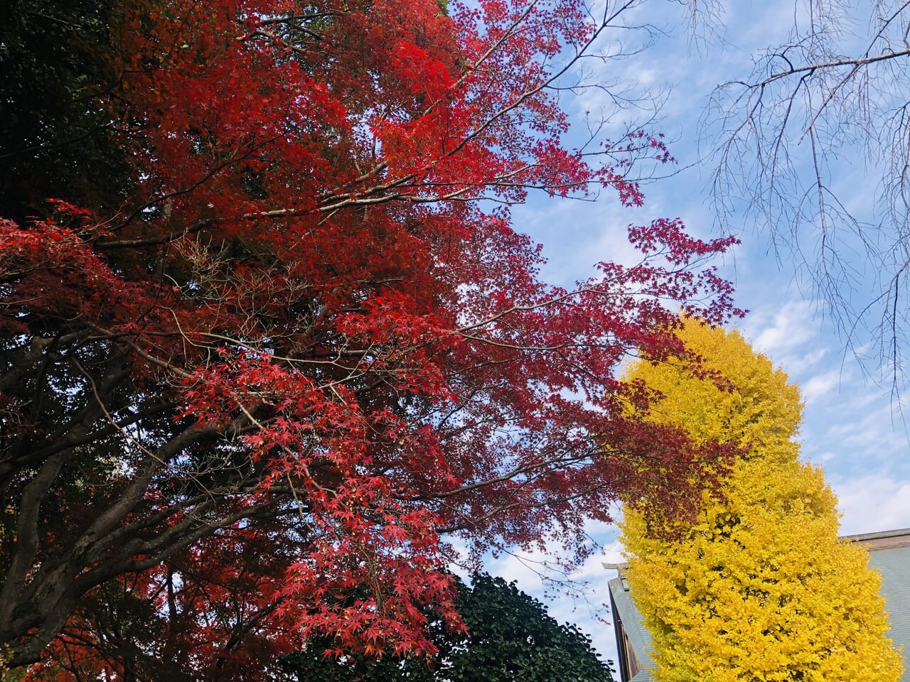 曜光山月山寺