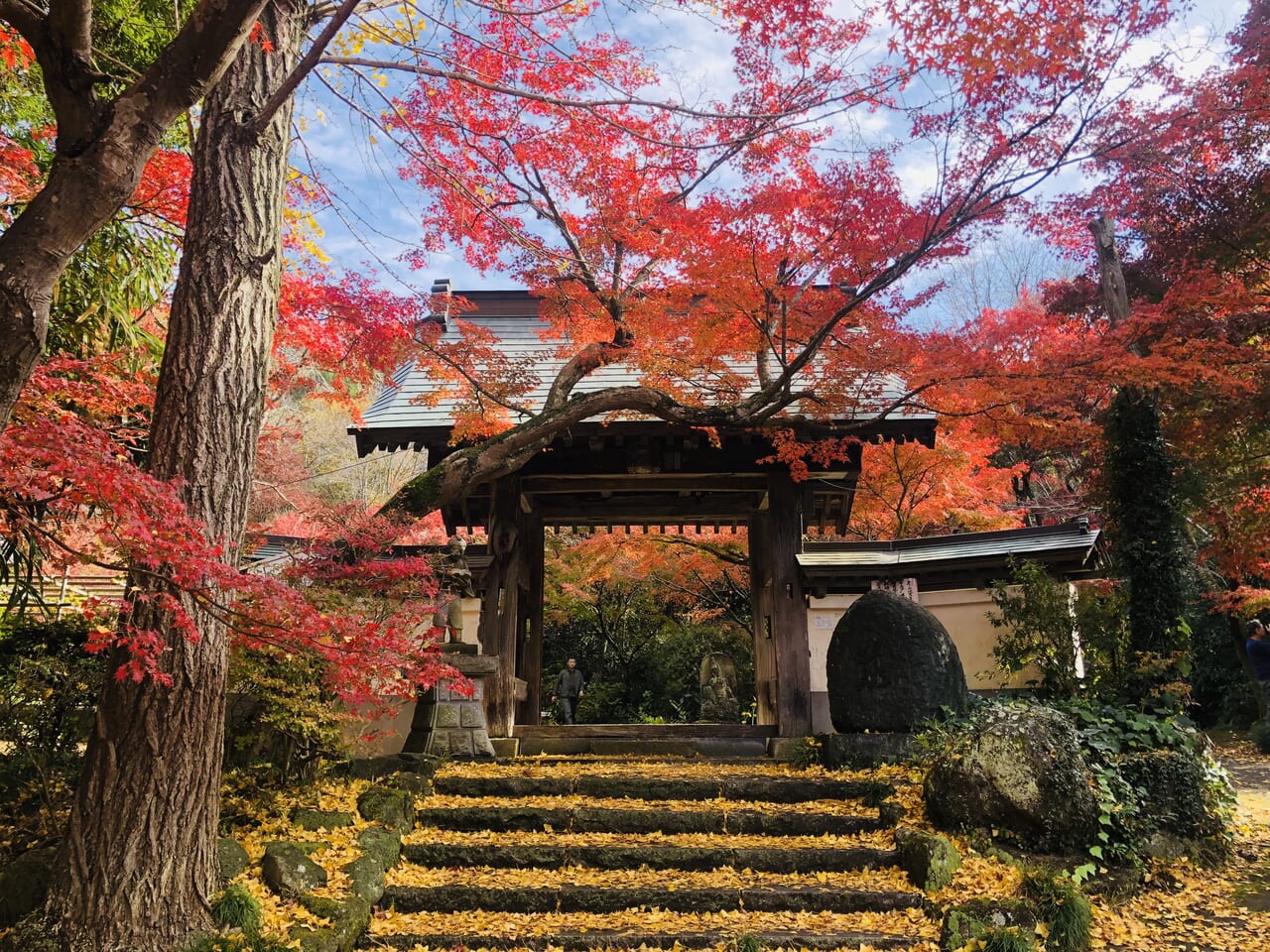 曛静山薬王寺