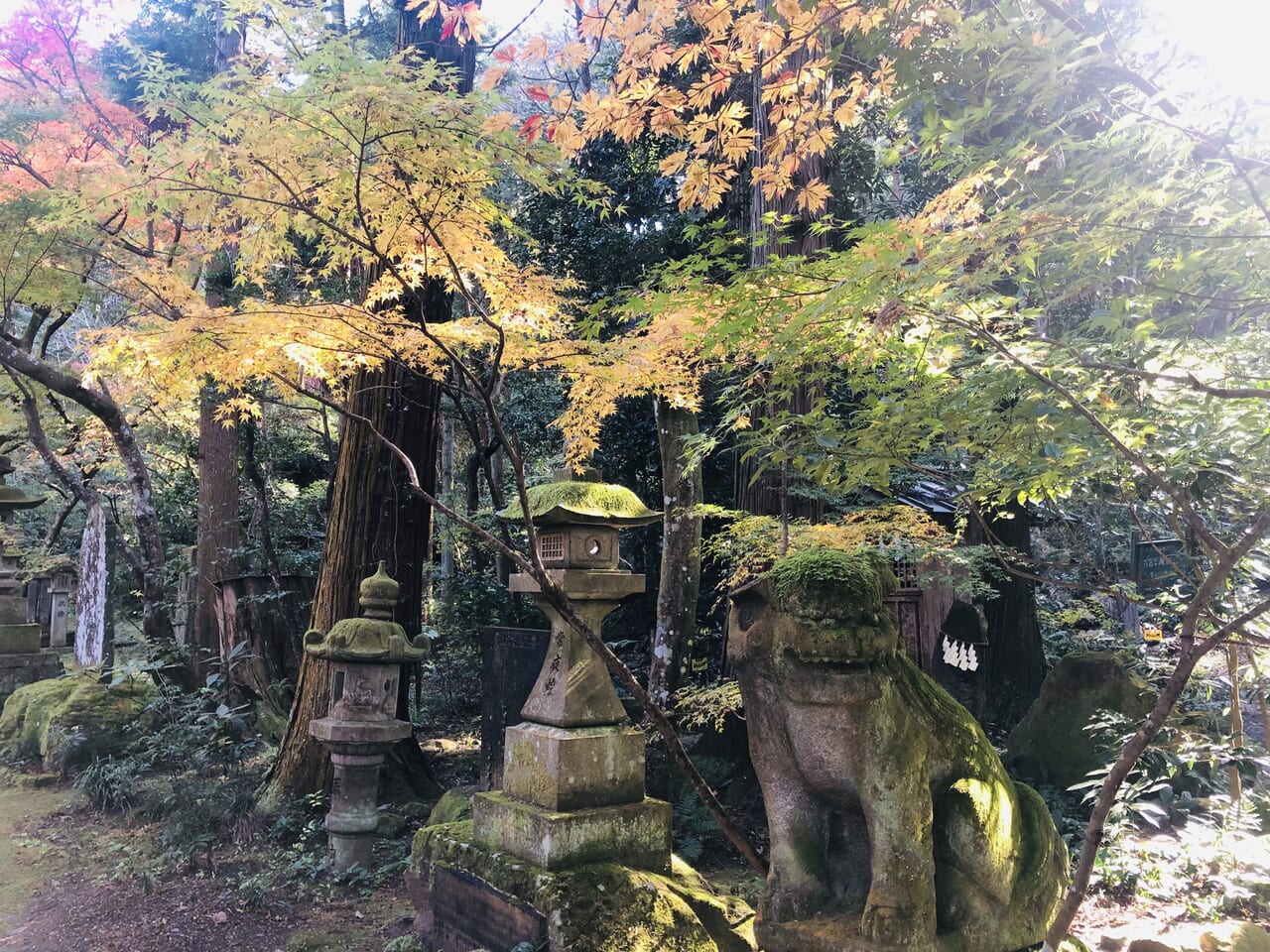 五所駒瀧神社