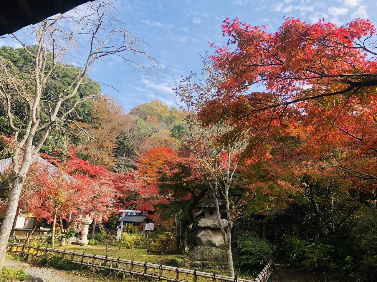 曛静山薬王寺