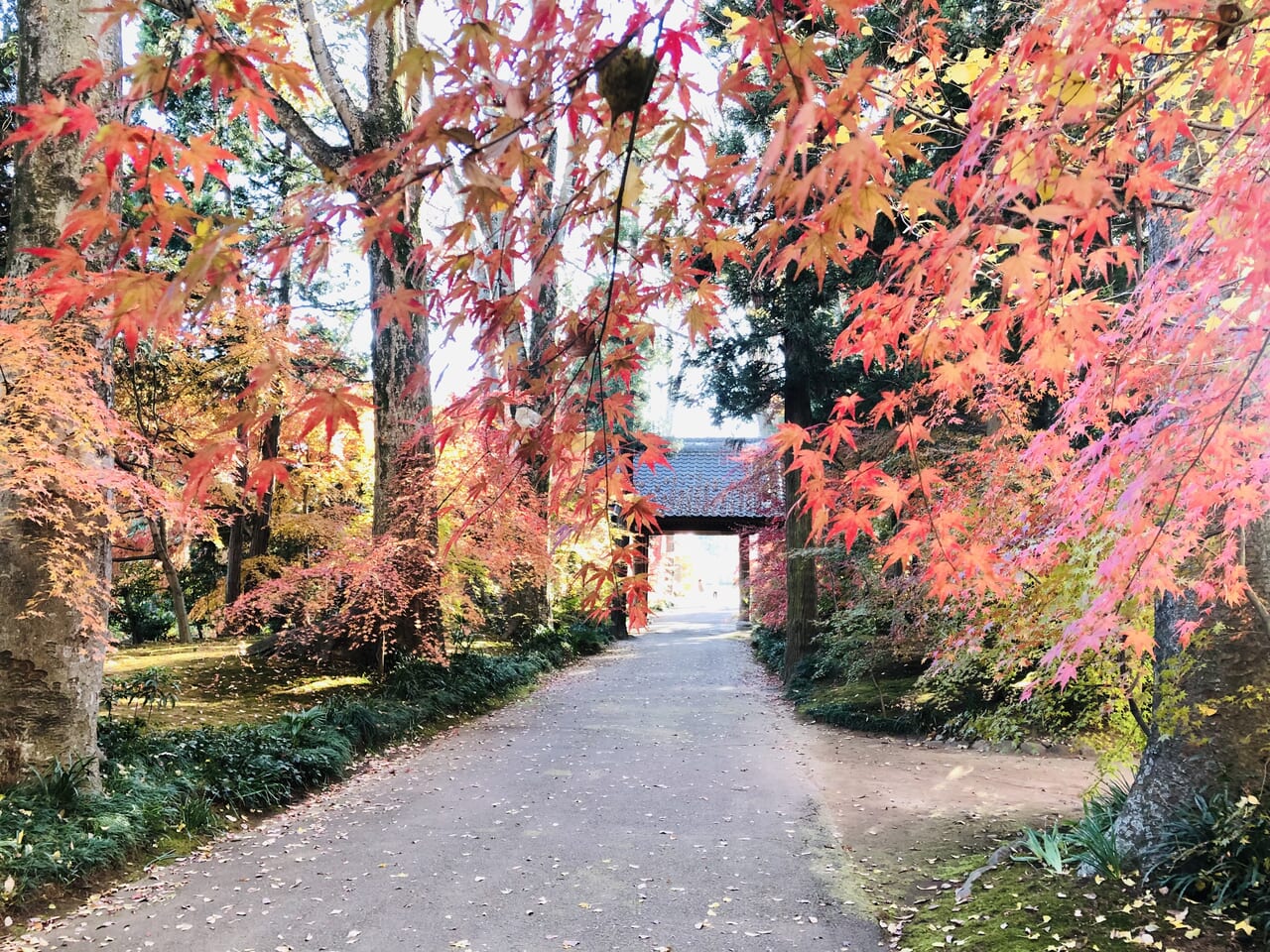 最勝寺