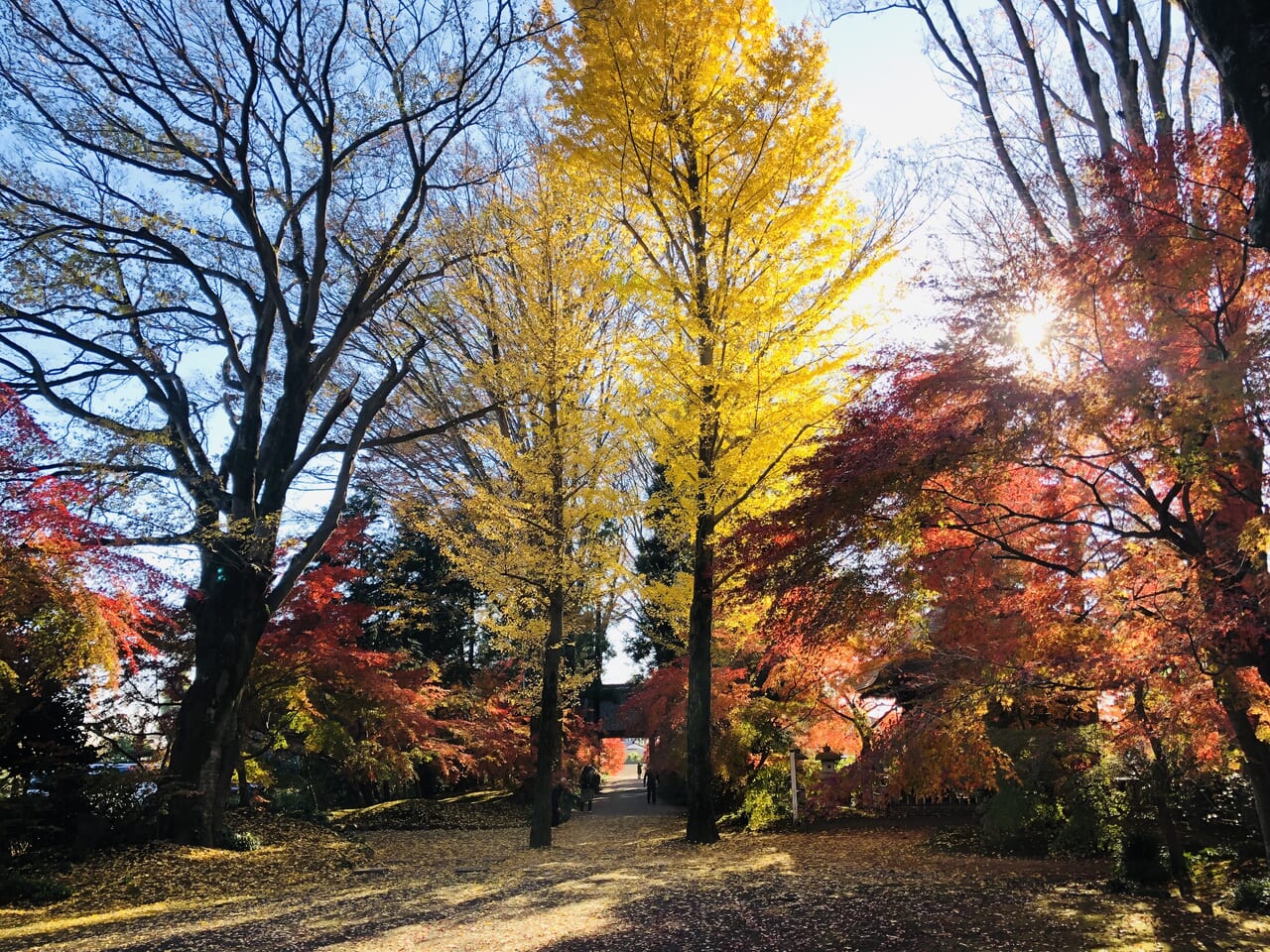 最勝寺