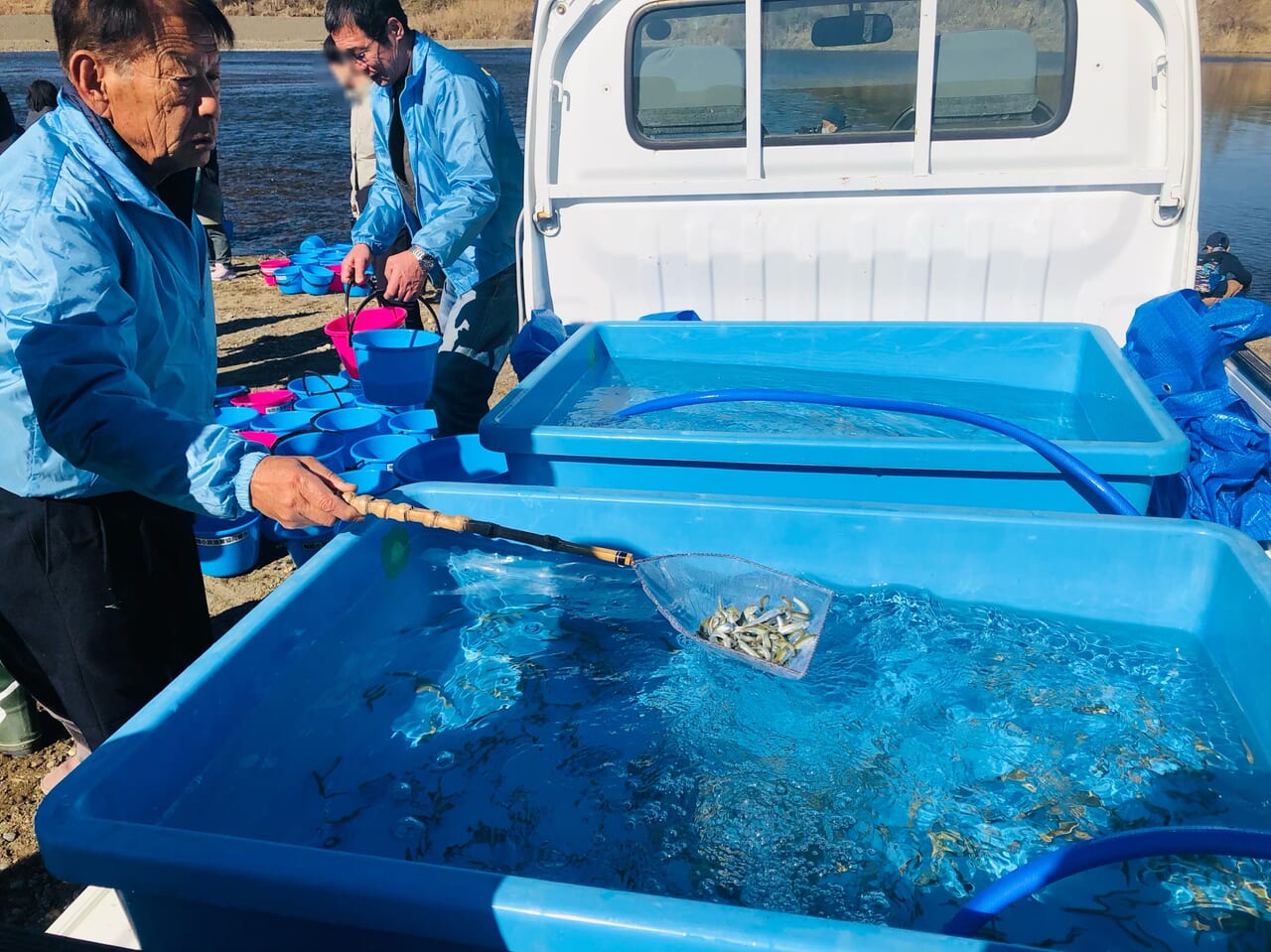 鮭の稚魚放流会