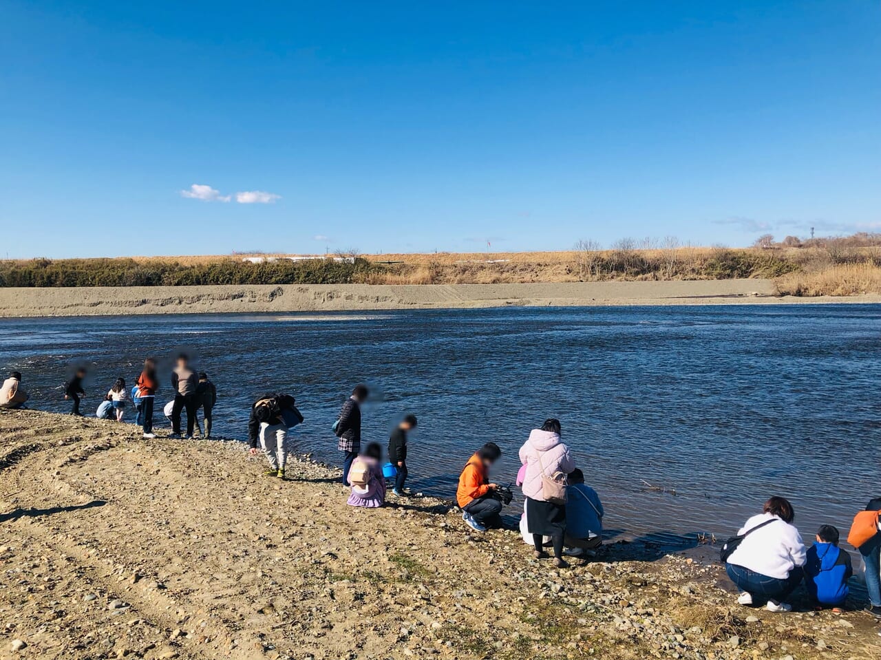 鮭の稚魚放流会