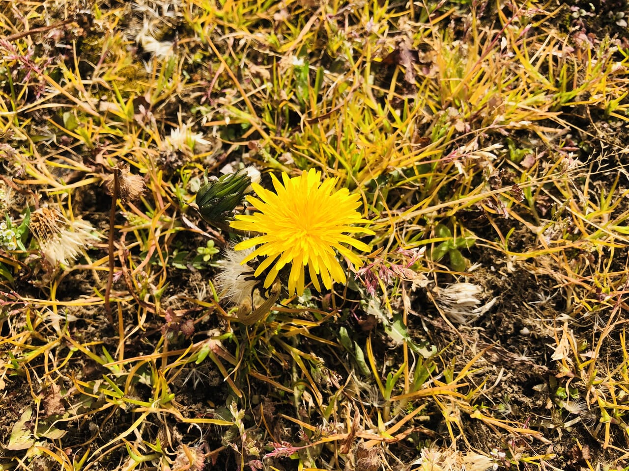 宮山ふるさとふれあい公園