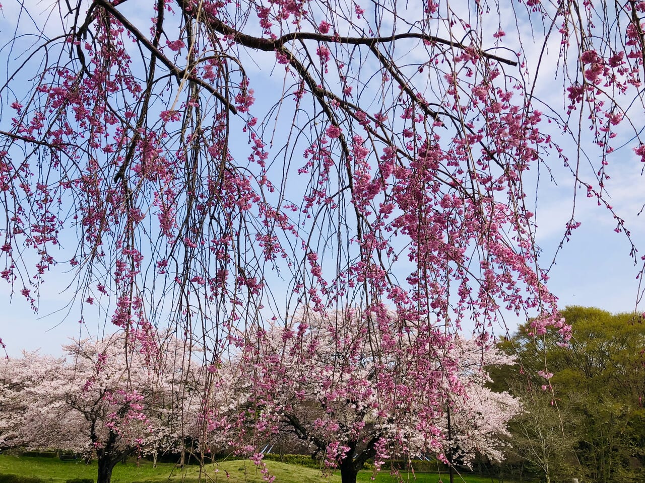 宮山ふるさとふれあい公園