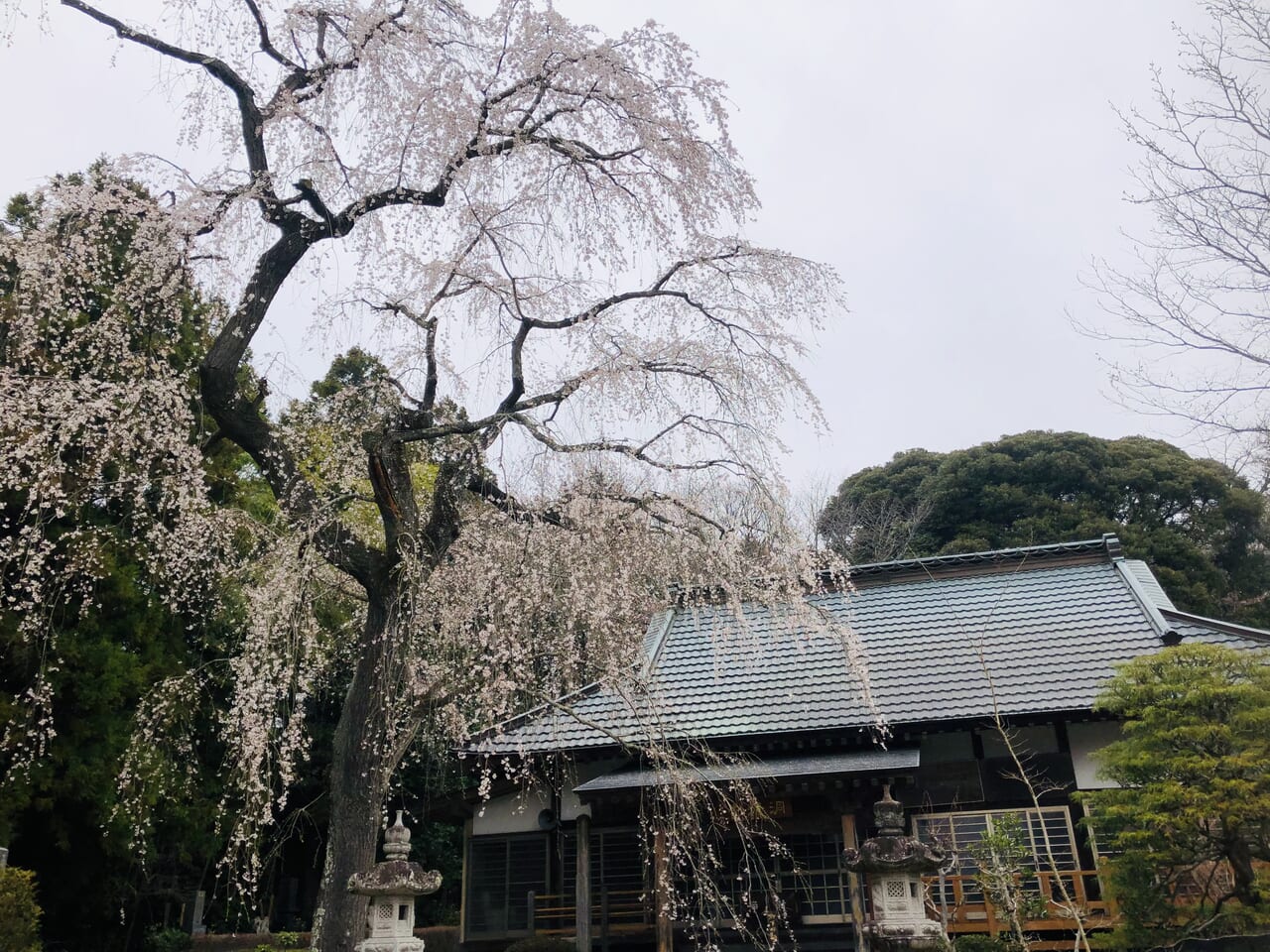 洞源寺