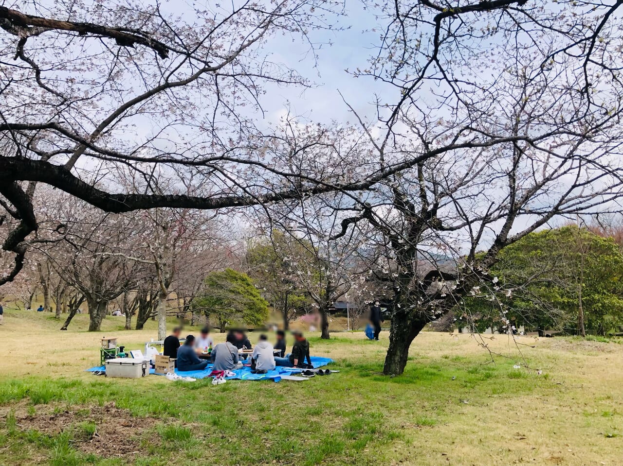 磯部桜川公園