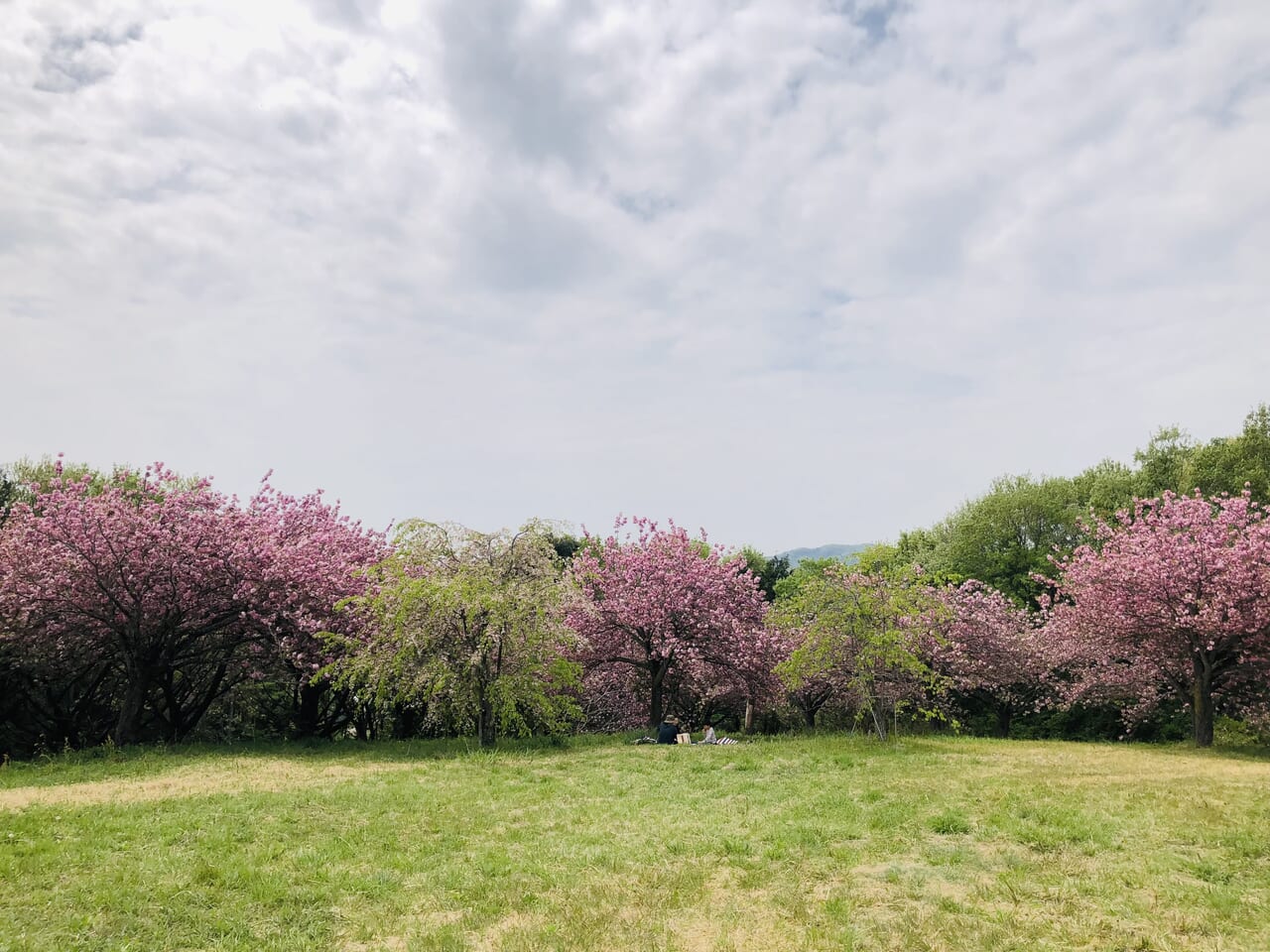 富谷山ふれあい公園