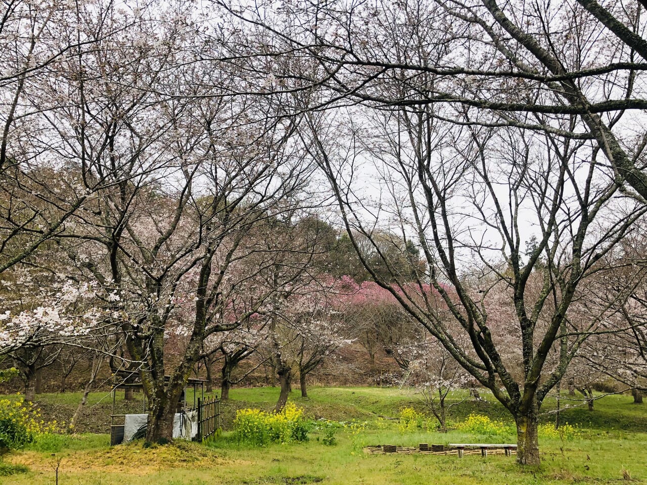 薬王寺