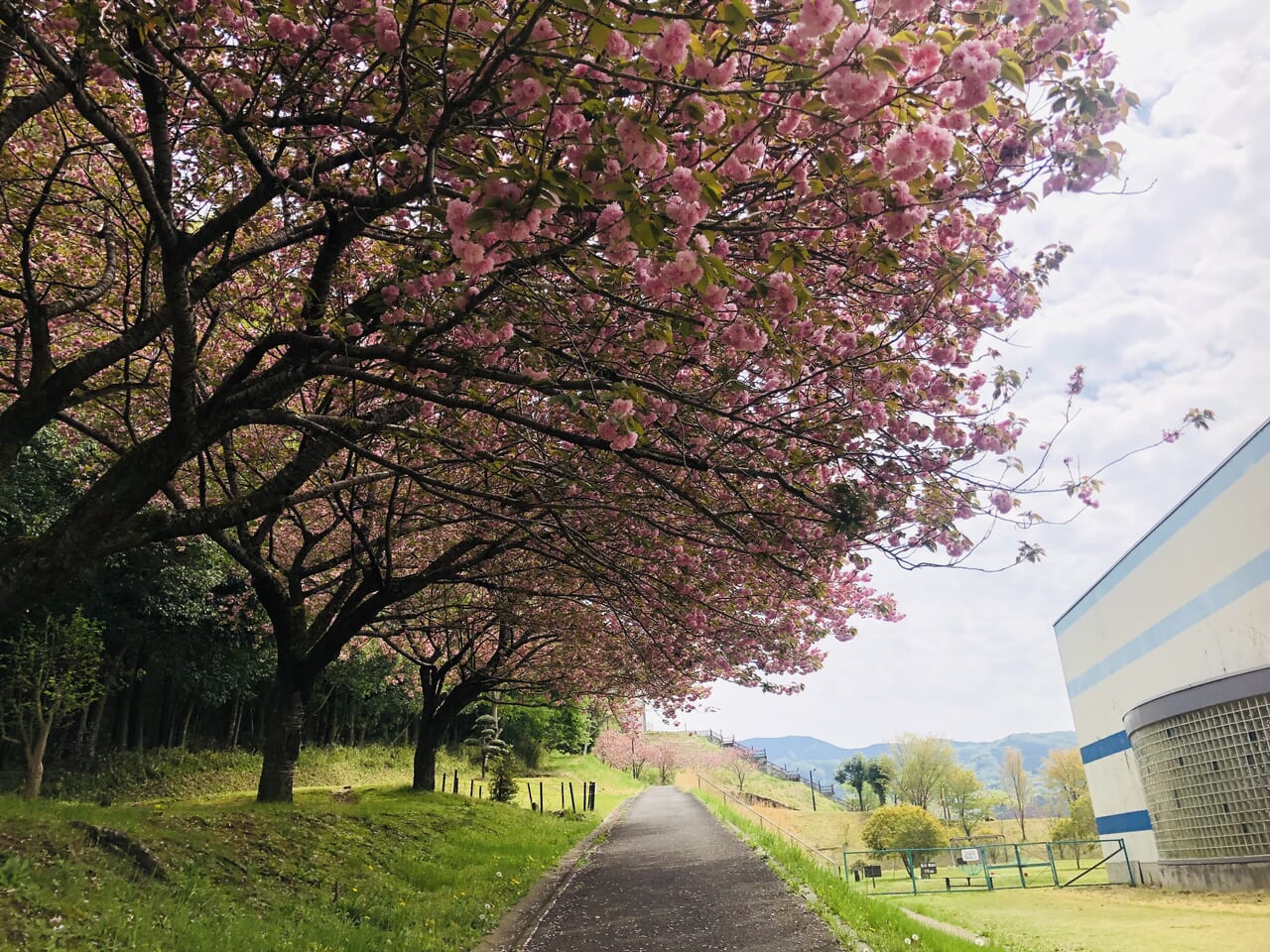 桜川市総合運動公園