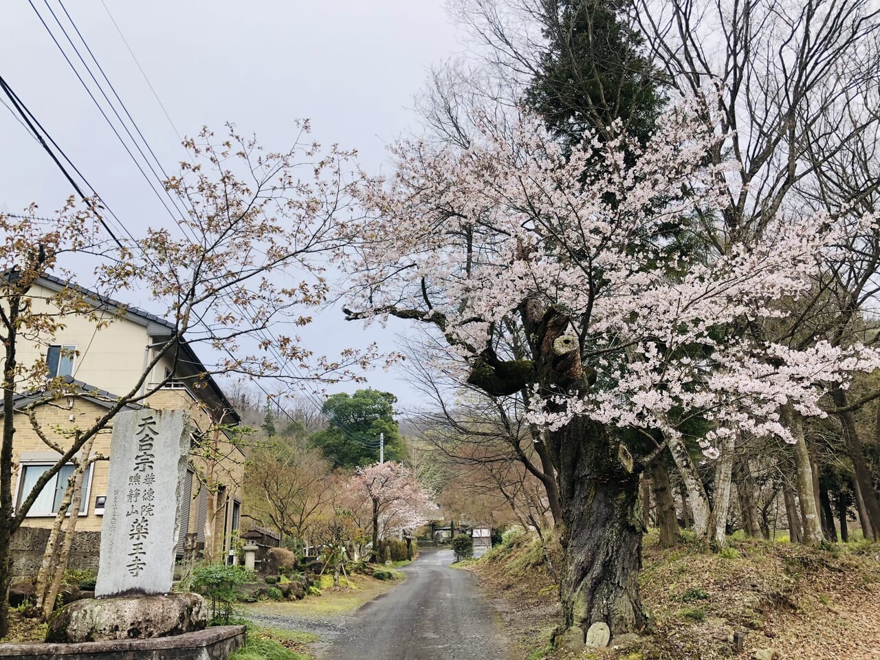 薬王寺