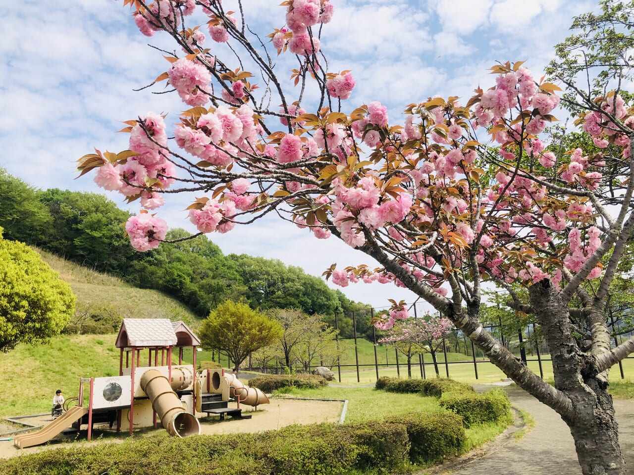 桜川市総合運動公園