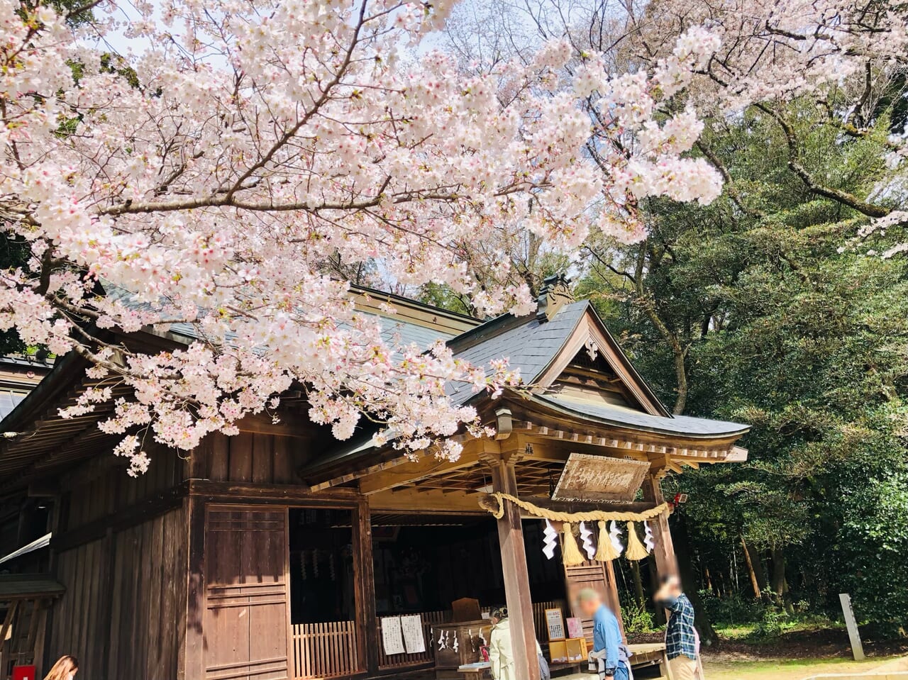 櫻川磯部稲村神社