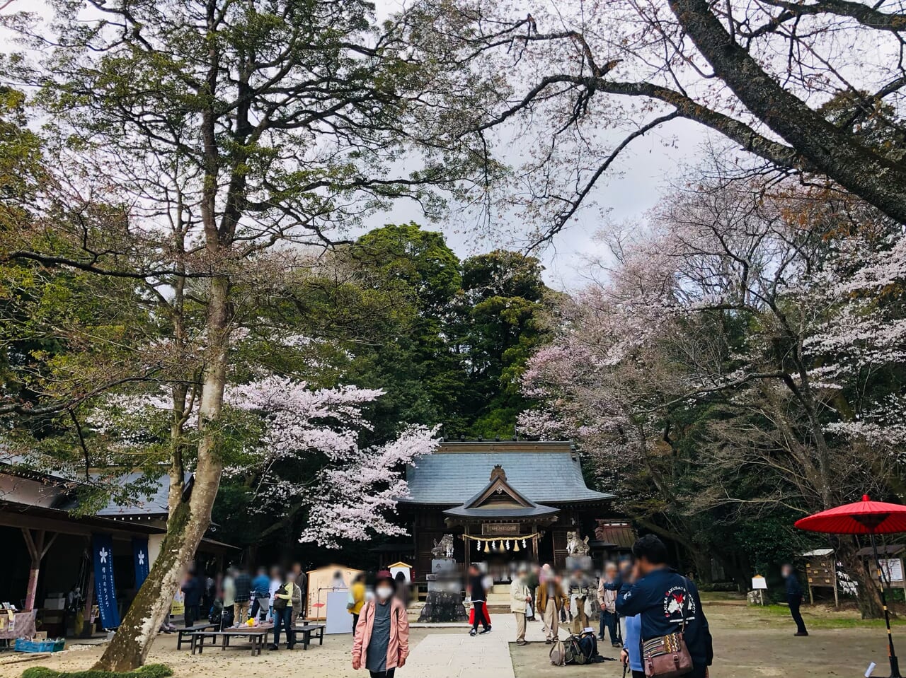 櫻川磯部稲村神社