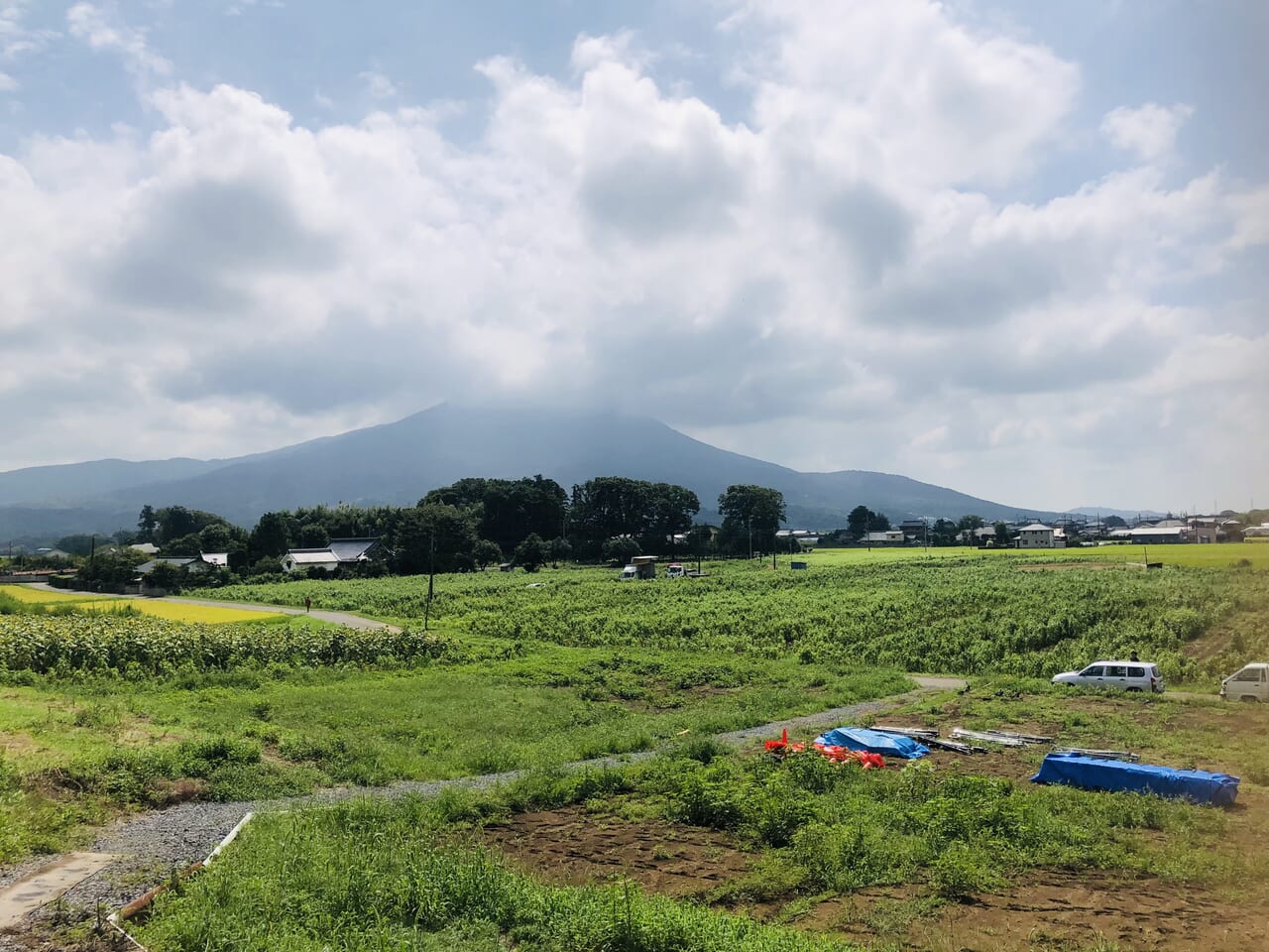 明野ひまわりの里