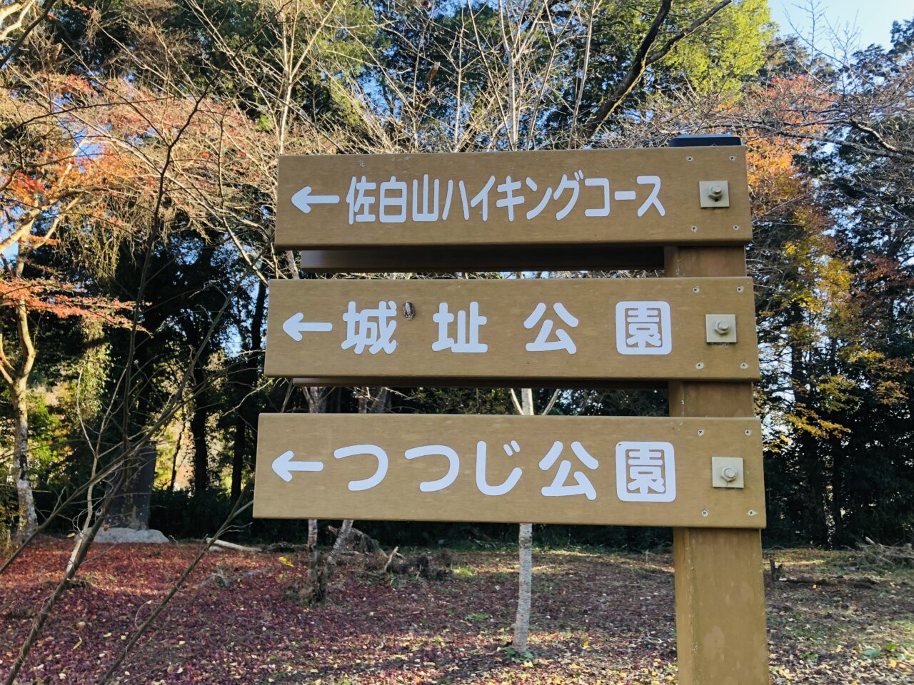 佐白山ろく公園