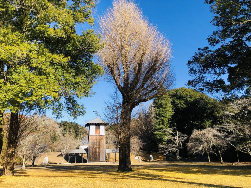 佐白山ろく公園