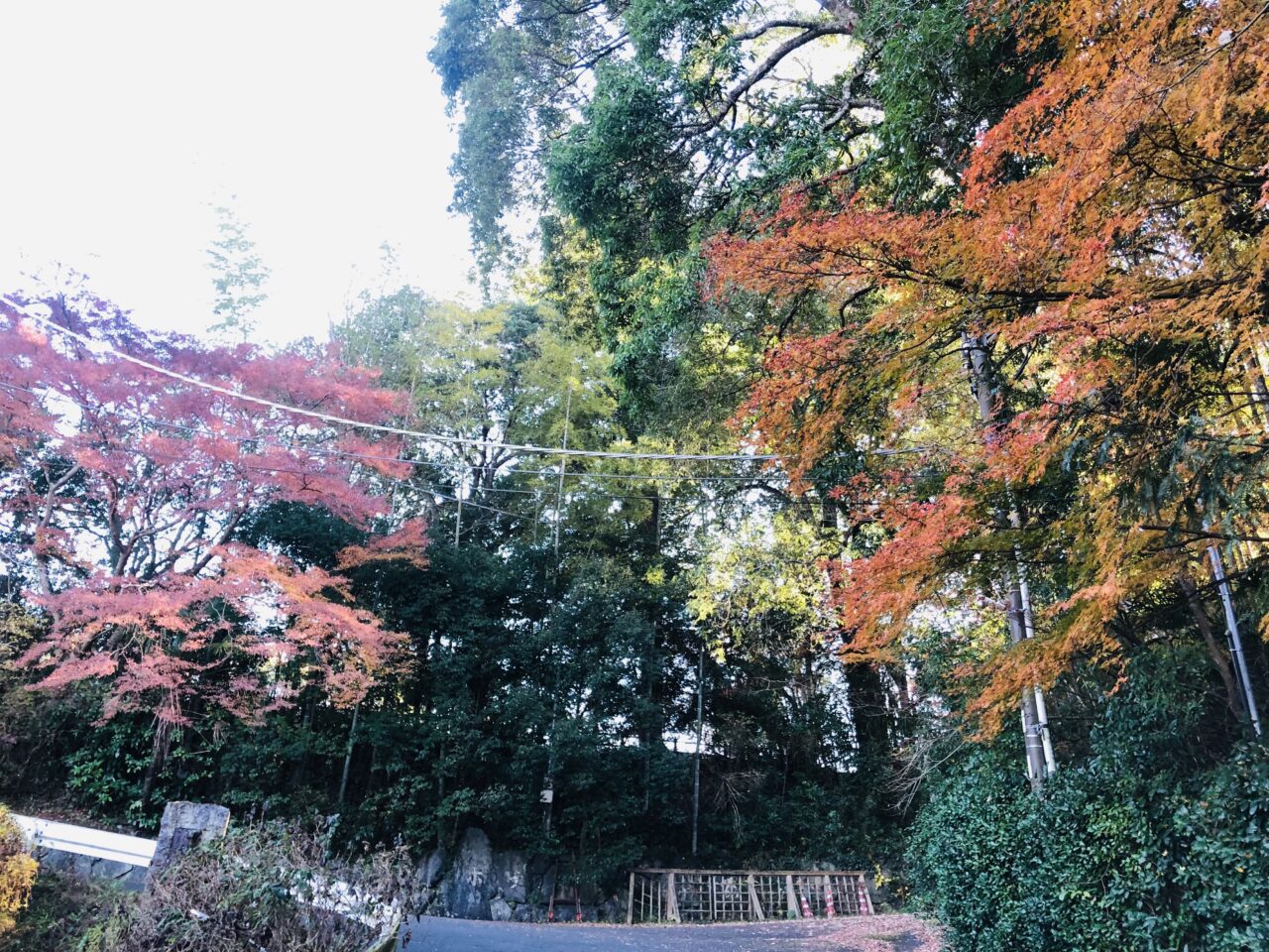 佐白山ろく公園