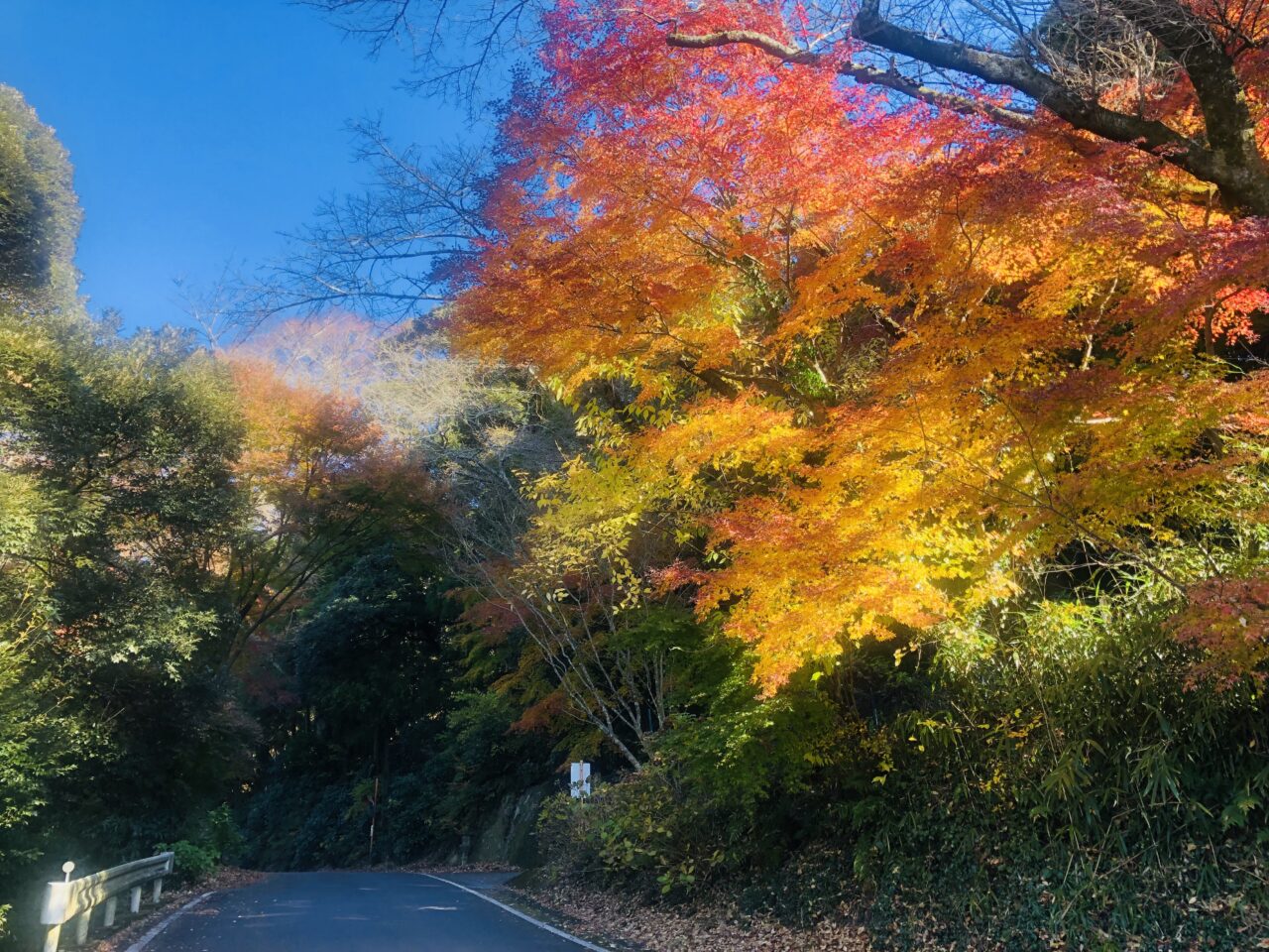 薬王院