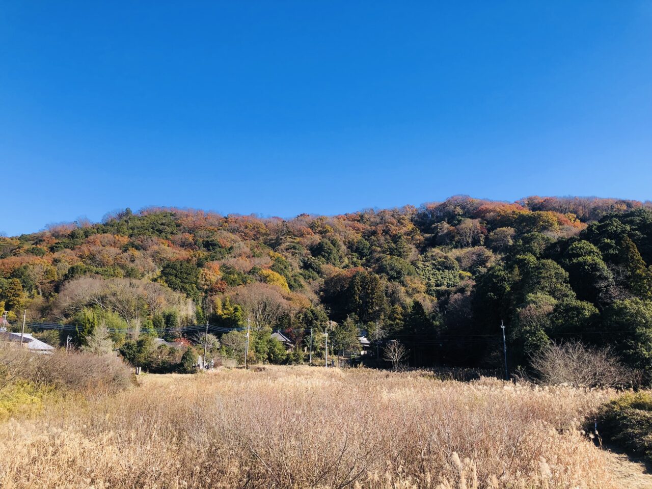 桜川市