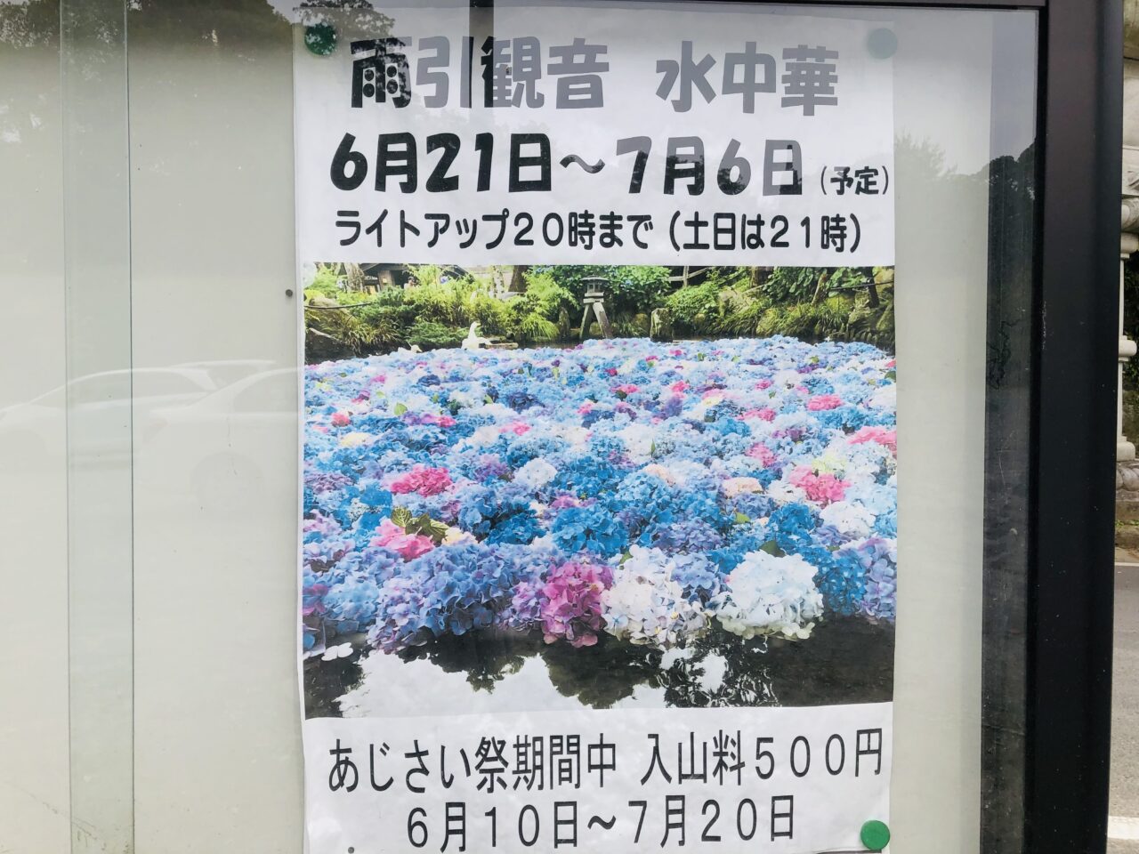 雨引観音あじさい祭