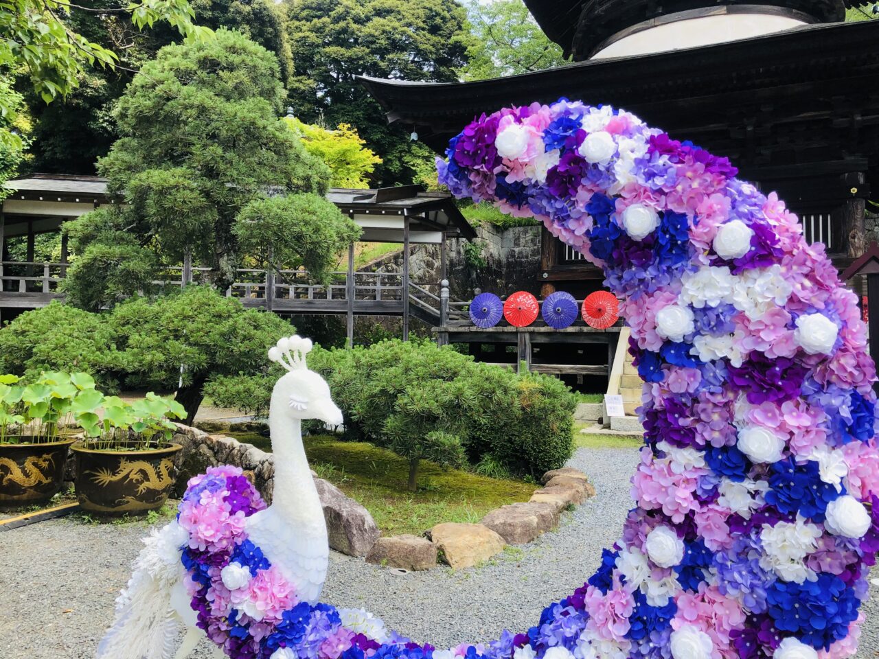 雨引観音あじさい祭