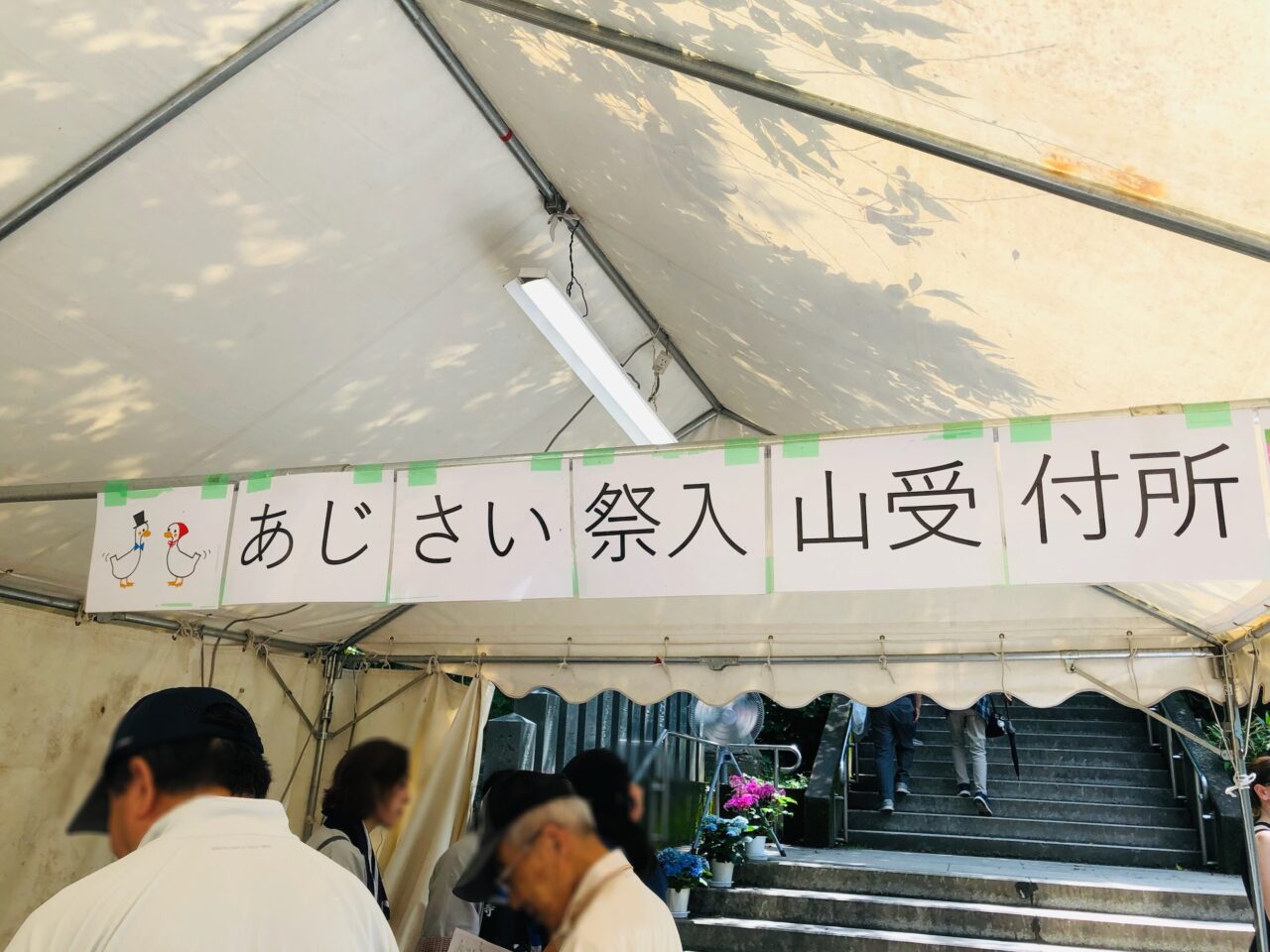 雨引観音あじさい祭