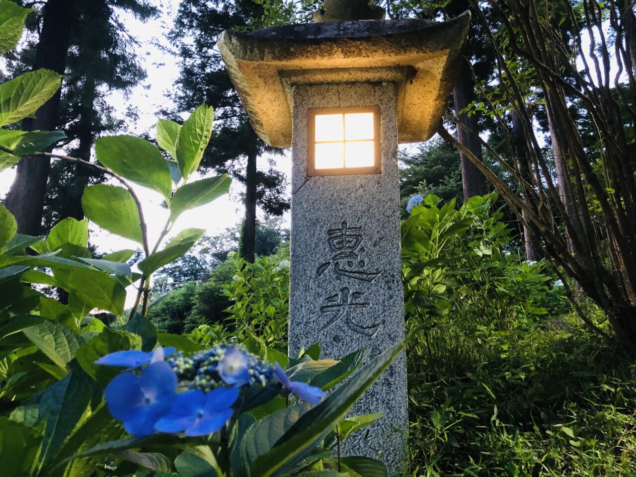 雨引観音あじさい祭ライトアップ