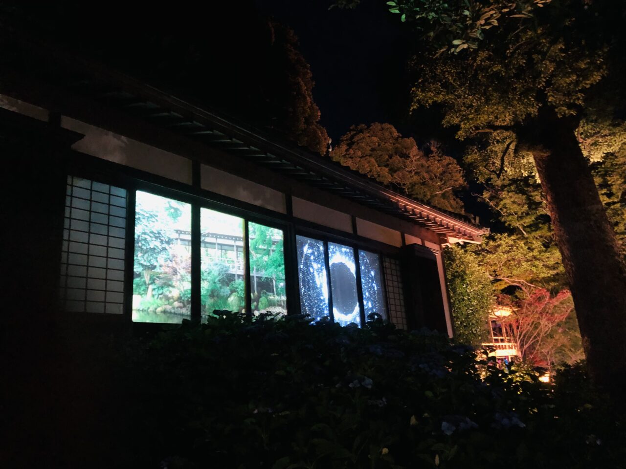 雨引観音あじさい祭ライトアップ
