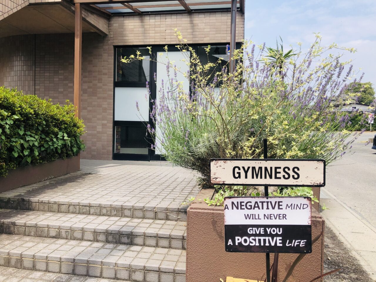 GYMNESS