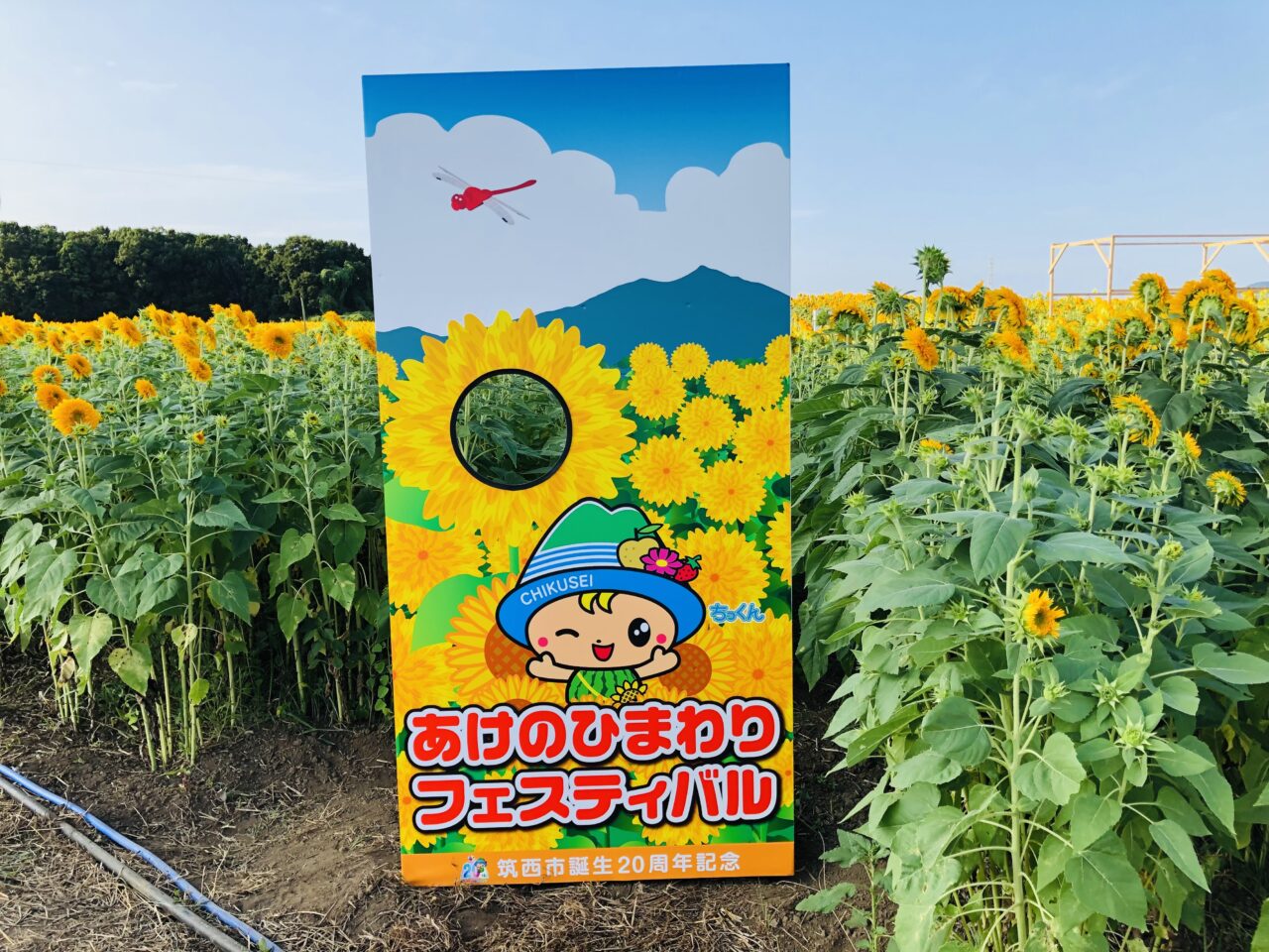 あけのひまわりフェスティバル