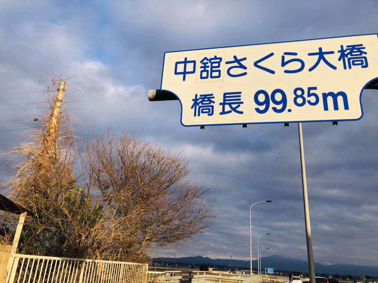 中舘さくら大橋