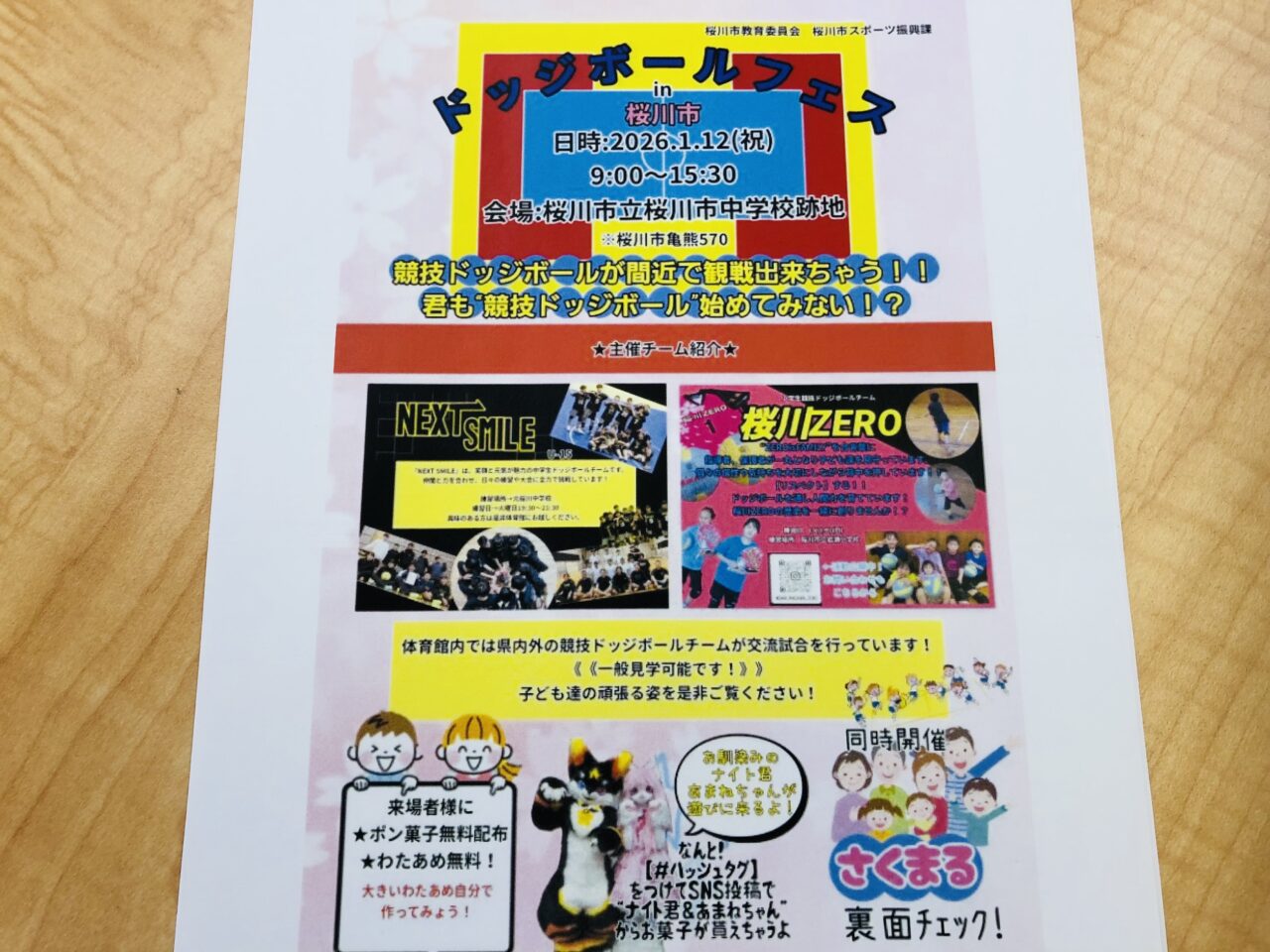 ドッジボールフェス