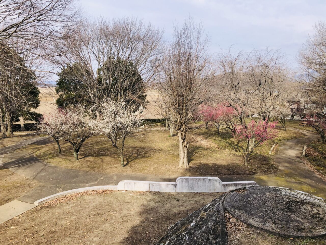 宮山ふるさとふれあい公園